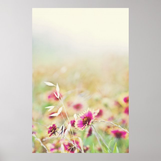 Affiche Laissez la nature (Devant)