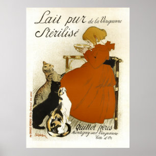 Affiche Lait Pur Stérilize Chats Français Vintage Publicit