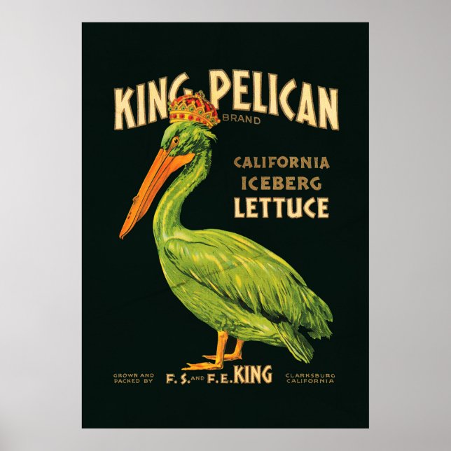 Affiche Laitue de King Pelican Iceberg (Devant)