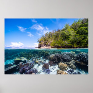 Affiche Laja Ampat Sous-marin 2