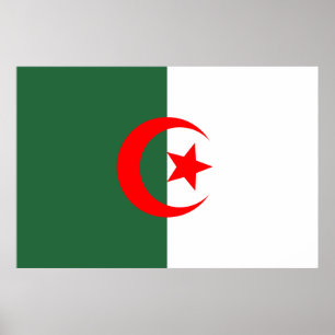 Affiche L'Algérie