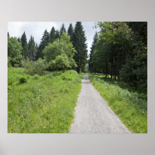 Affiche L'Allemagne, Thuringe, chemin dans la forêt