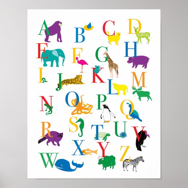 Affiche L'alphabet animal (Devant)