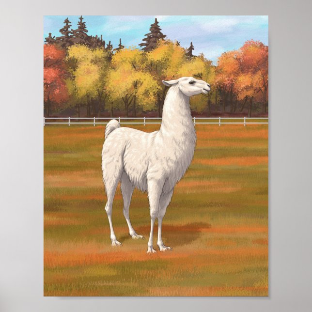 Affiche Lama blanc dans une prairie de ferme en automne (Devant)