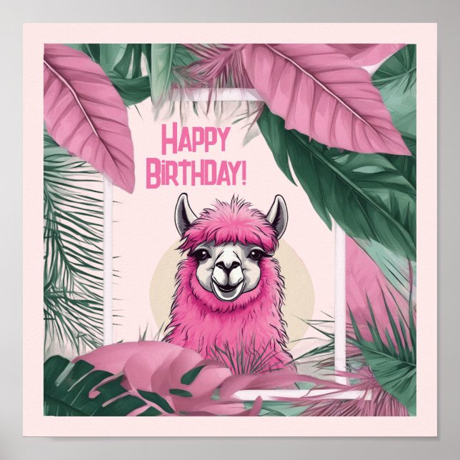 Affiche Lama rose souriant heureux (Devant)