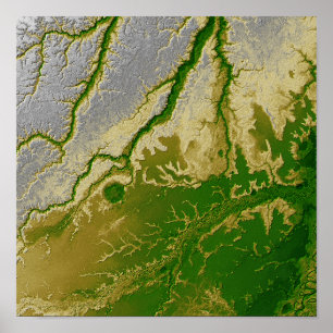 Affiche L'Amazone bolivienne