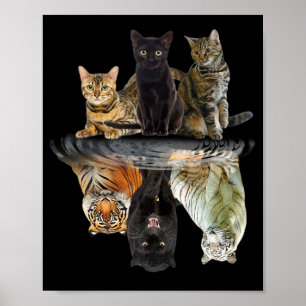 Affiche L'ami des chats Amoureux des chats Tigre mou