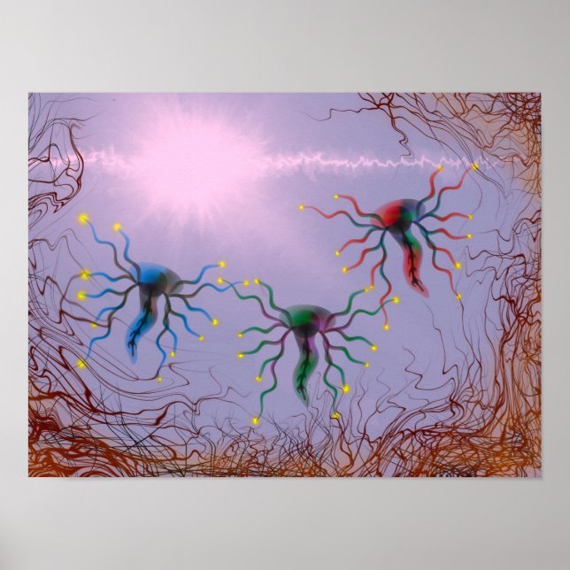 Affiche Laminate (Devant)