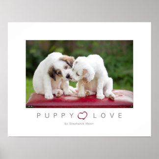 Affiche L'amour des chiots
