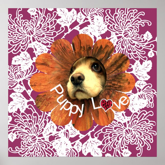 Affiche L'amour des chiots (Devant)