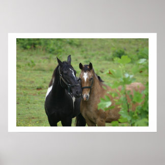 Affiche L'amour des soeurs