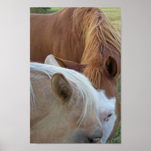 Affiche L'amour du cheval