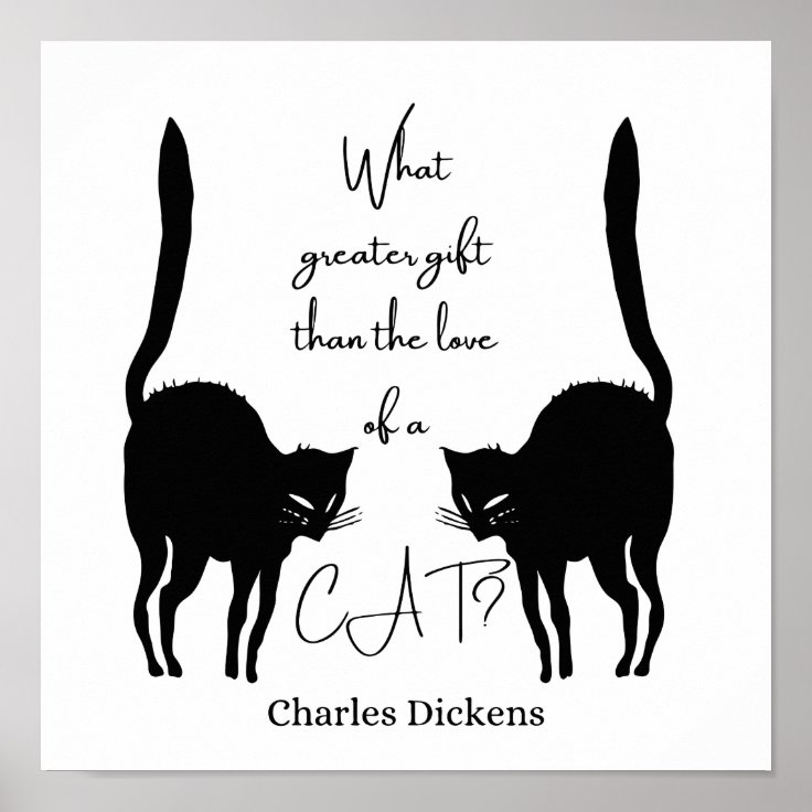 Affiche L Amour D Un Chat Citation De Charles Dickens Zazzle Fr