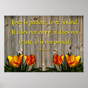 Affiche L'amour est patient