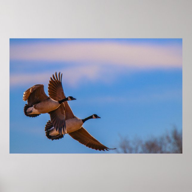 Affiche l'amour reste uni (Devant)