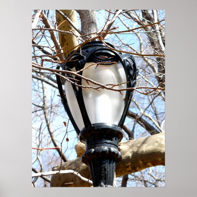 Affiche Lamp Post New York Central Park (Devant)