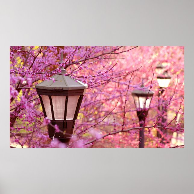 Affiche Lampes UVA (Devant)