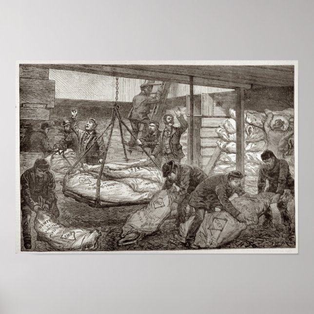 Affiche Landing Australian Frozen Meat (Devant)