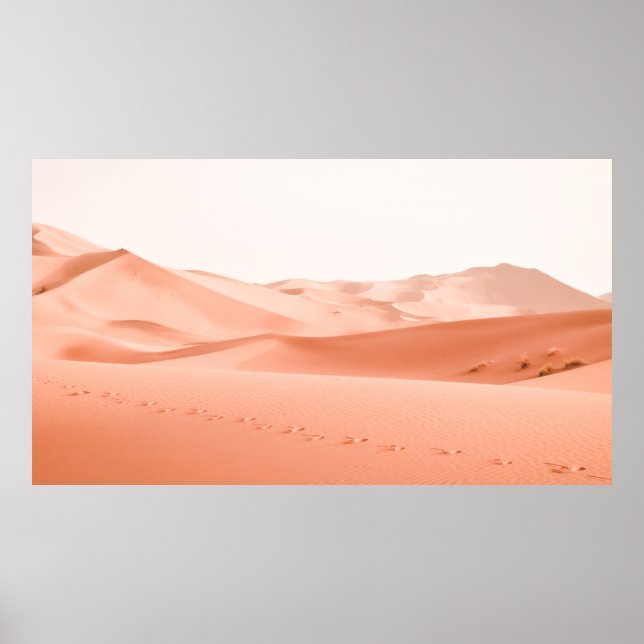 AFFICHE LANDSCAPE PHOTOGRAPHY OF DESSERT (Devant)