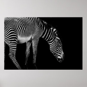 Affiche Langage du corps