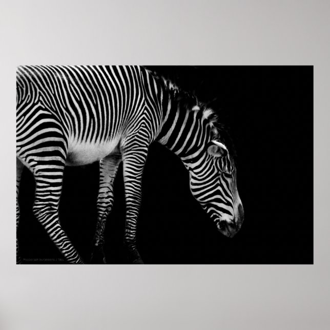 Affiche Langage du corps (Devant)