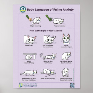 Affiche Langage du corps de l'anxiété Feline