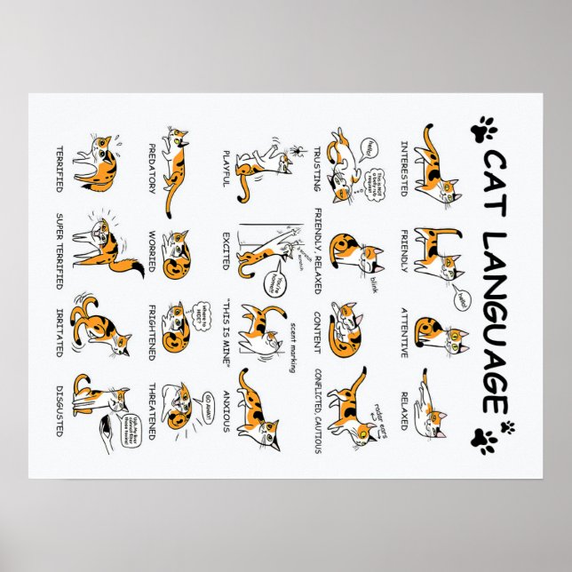 Affiche Langue de chat, Drôle Chat Kitten, Aimer Idée cade (Devant)