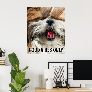 Affiche Langue de shih tzu vibes drôles texte personnalisé