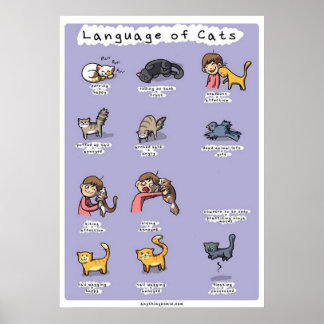Affiche langue des chats