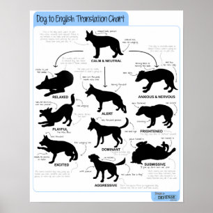 Affiche Langue du corps 16x20