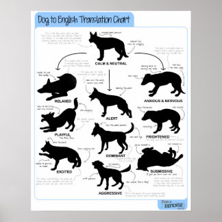 Affiche Langue du corps 16x20