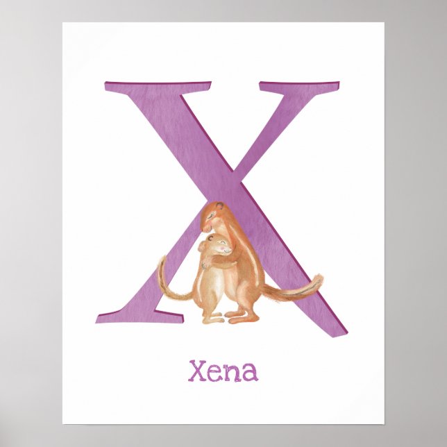 Affiche L'animal ABC X est destiné à l'impression xerus (Devant)