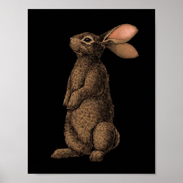 Affiche Lapin (Devant)