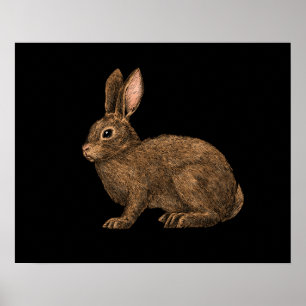 Affiche Lapin 2