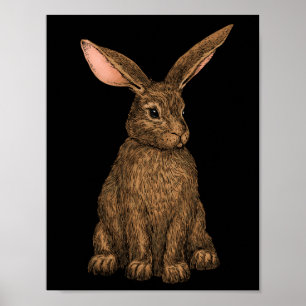 Affiche Lapin 3