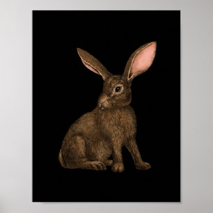 Affiche Lapin 4