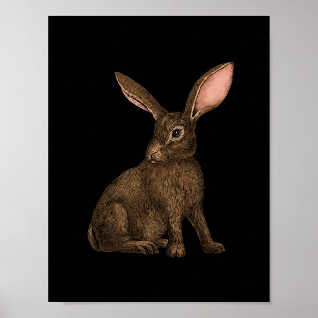 Affiche Lapin 4 (Devant)
