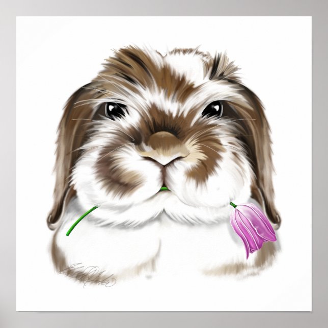 Affiche Lapin américain adorable Fuzzy Lop avec tulipe ros (Devant)