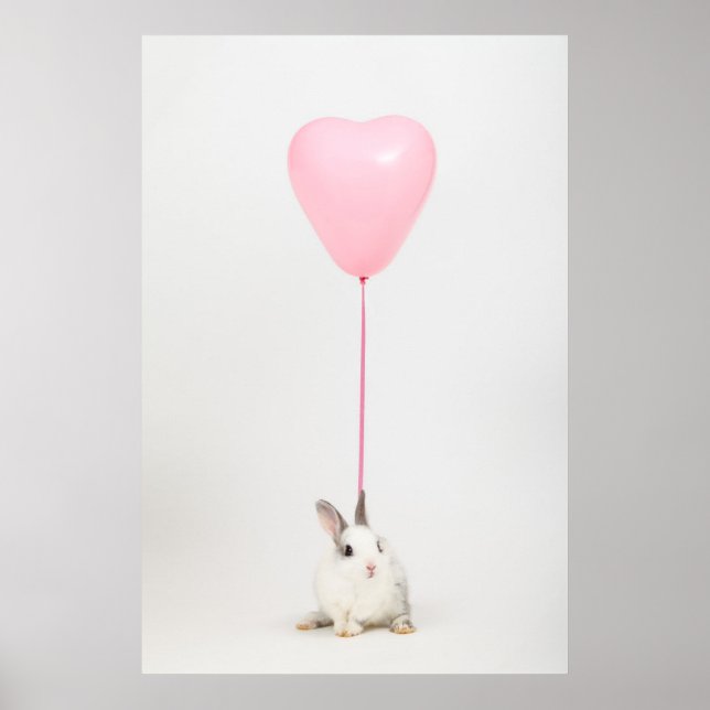 Affiche Lapin Avec Ballotte Rose (Devant)