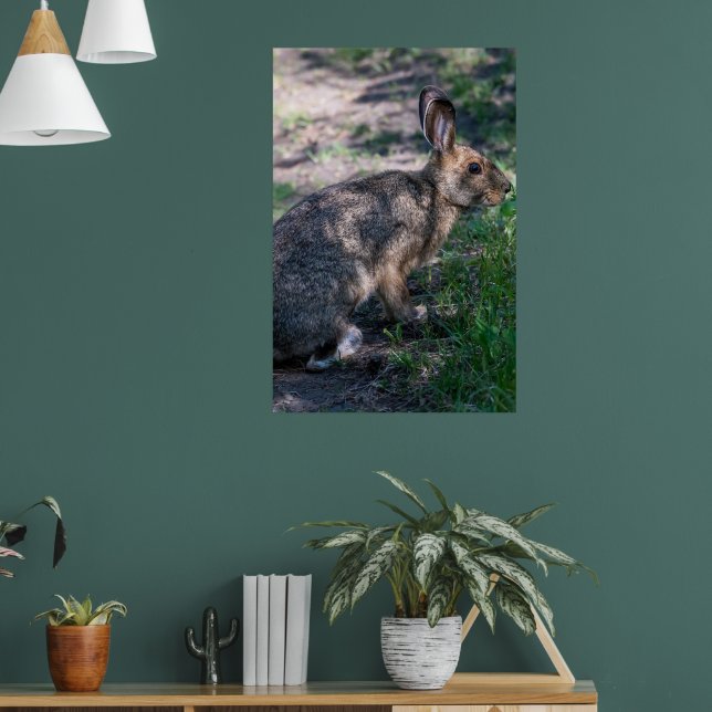 Affiche Lapin Brown, Repos dans la nature (Salon 1)