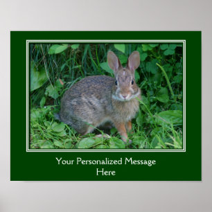 Affiche Lapin Brown sauvage Personnalisé
