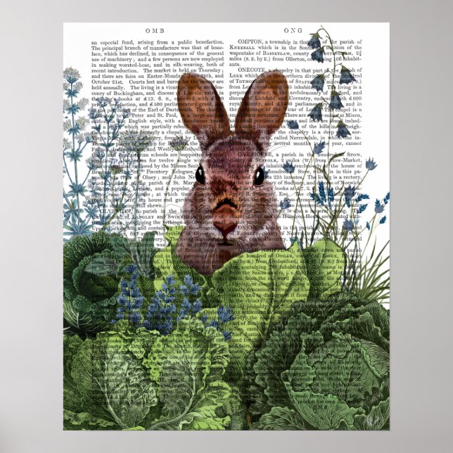 Affiche Lapin dans une patte de chou (Devant)