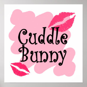 Affiche lapin de caresse