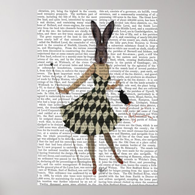 Affiche Lapin en robe blanche noire (Devant)