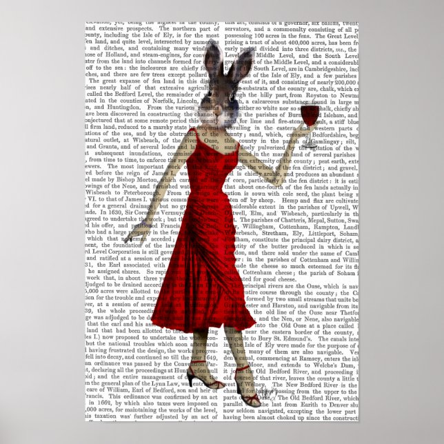 Affiche Lapin en robe rouge (Devant)