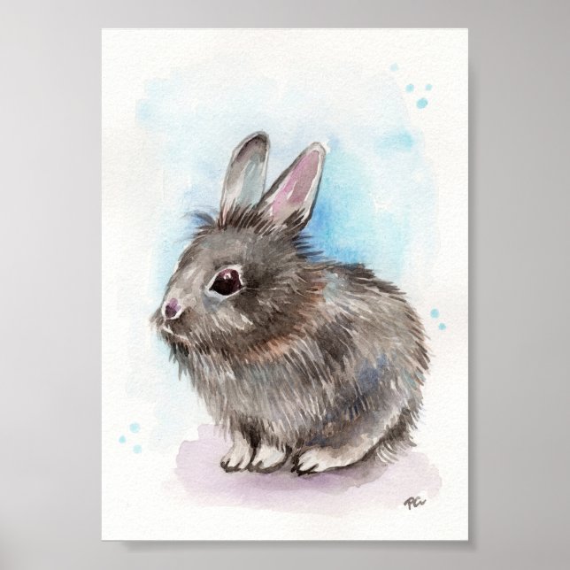Affiche Lapin gris (Devant)