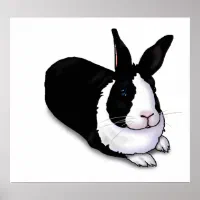 Affiche Lapin noir et blanc