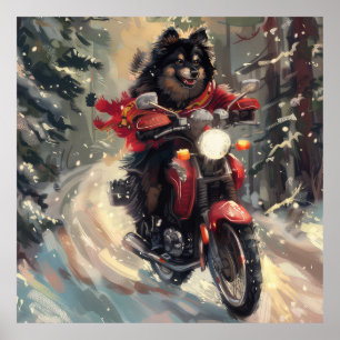 Affiche Lapphund Finlandais Chien à cheval Moto Noël