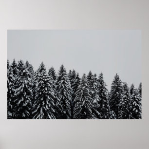 AFFICHE L'ARBRE COUVERT LA NEIGE SOUS LE CIEL NUAGE