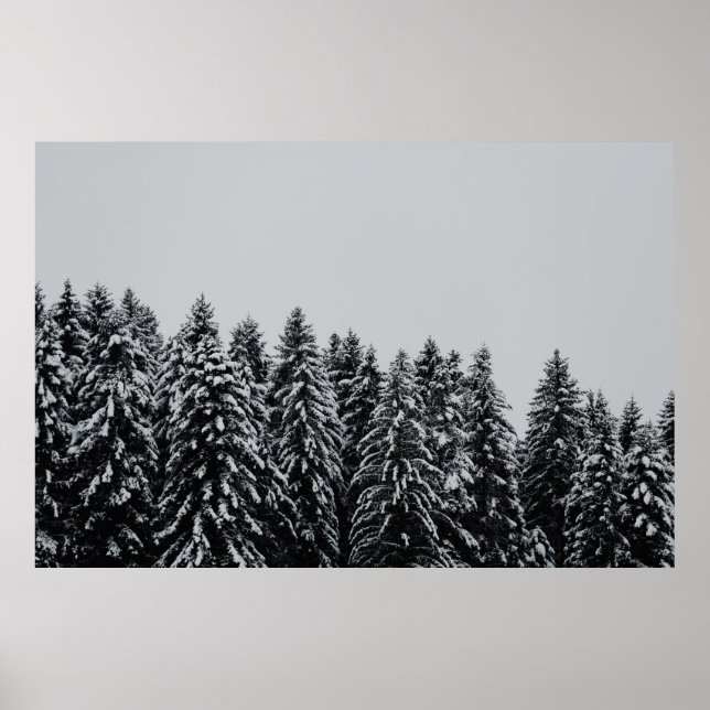 AFFICHE L'ARBRE COUVERT LA NEIGE SOUS LE CIEL NUAGE (Devant)